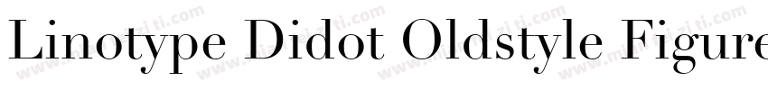 Linotype Didot Oldstyle Figures RomanI字体转换